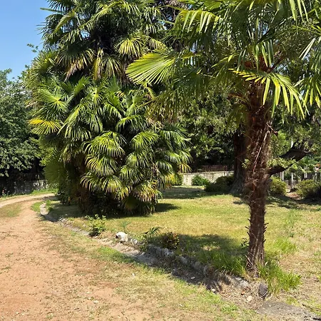 Vista - Villla Giulia 5 Min Loopafstand Tot Het Apartment Porto Valtravaglia