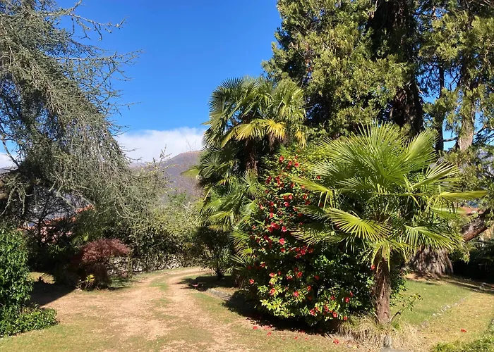 Vista - Villla Giulia 5 Min Loopafstand Tot Het Willa *